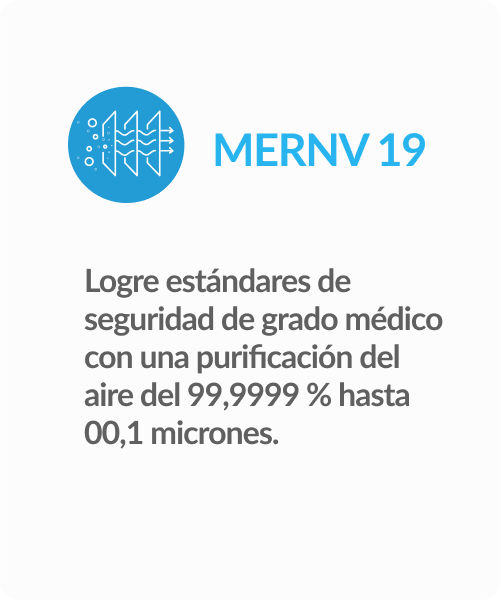 merv 19